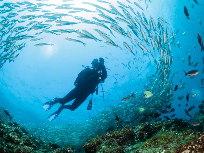 Tour Ecuador